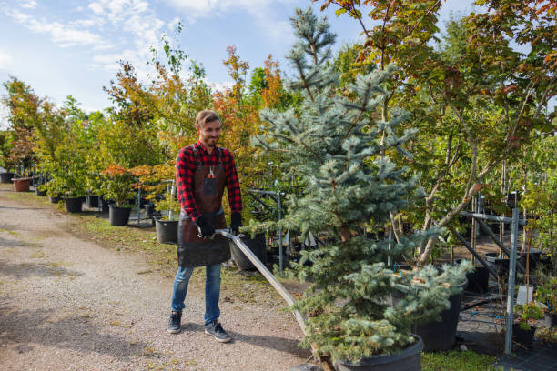 Tree Service Company in North Warren, PA